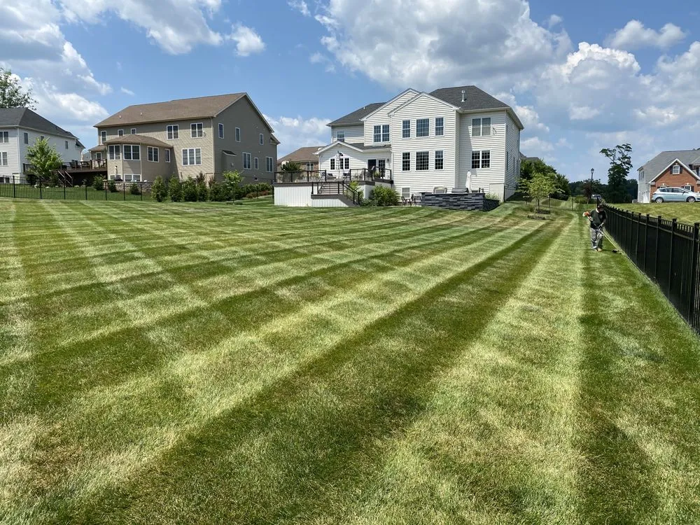 Local landscape design experts serving Bel Air, MD - Dans landscaping services