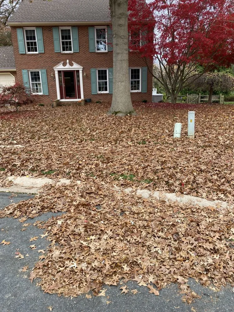 Affordable landscape installation in Bel Air, MD by Dans landscaping services