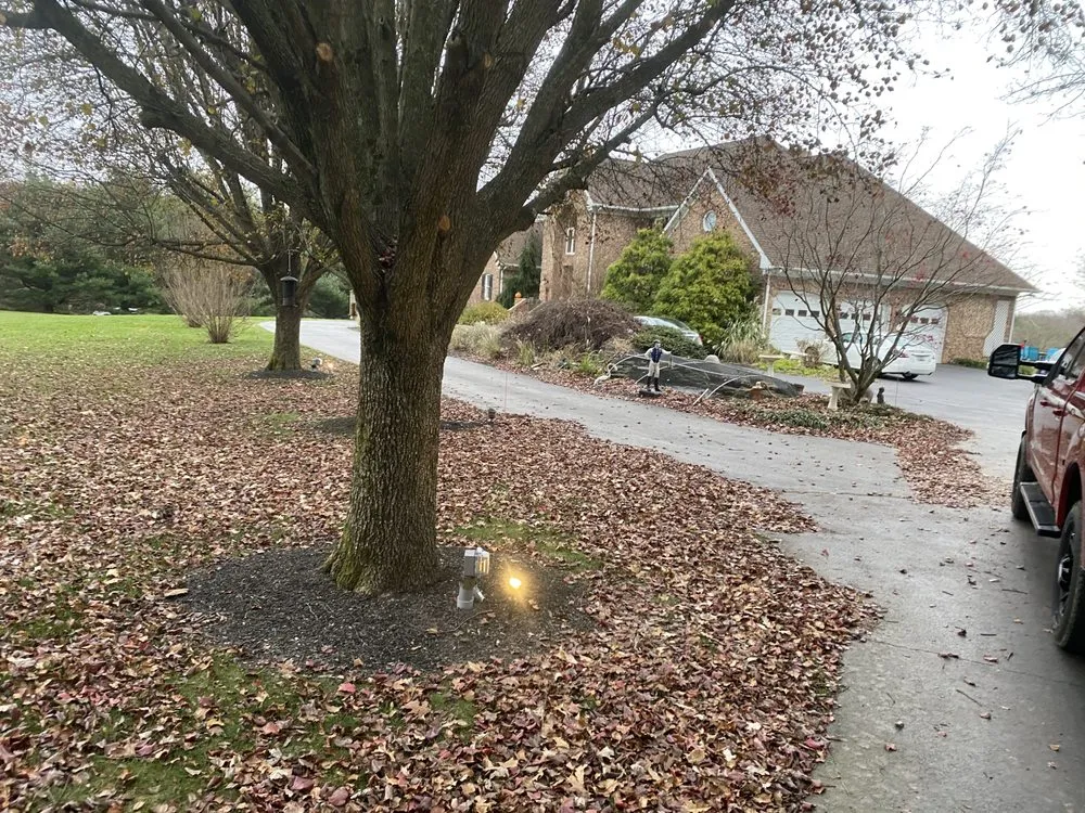 Reliable landscape installation near you in Bel Air, MD by Dans landscaping services