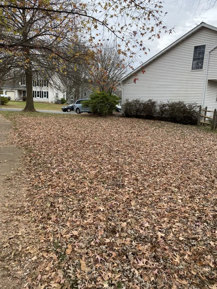 Reliable landscape design experts serving Bel Air, MD - Dans landscaping services