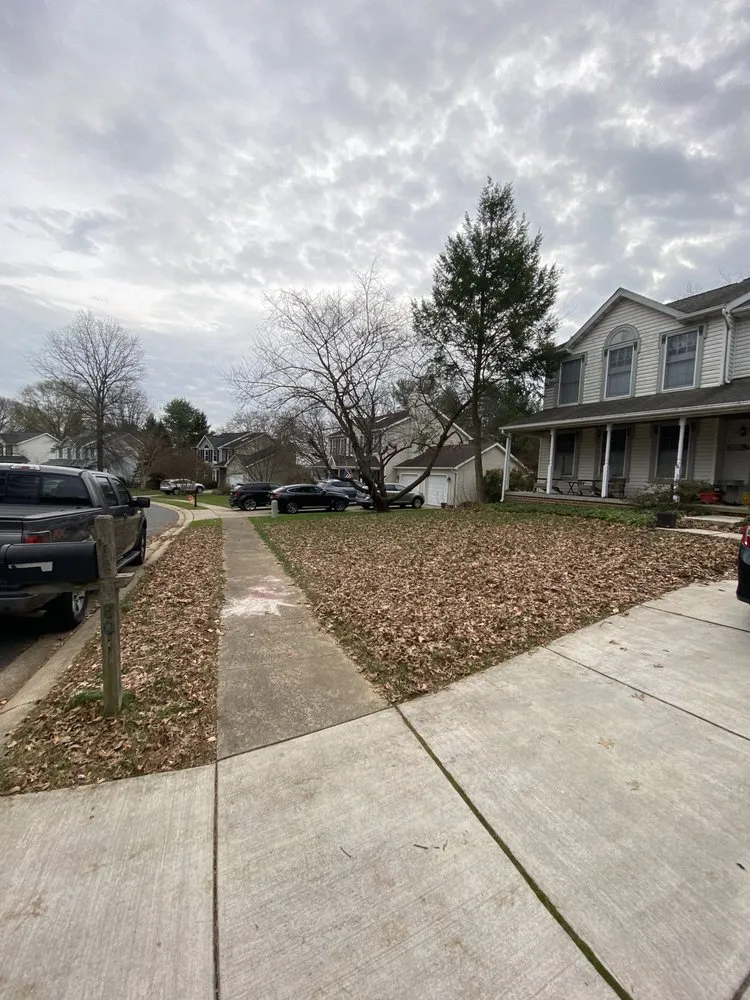 Professional yard cleanup service experts serving Bel Air, MD - Dans landscaping services