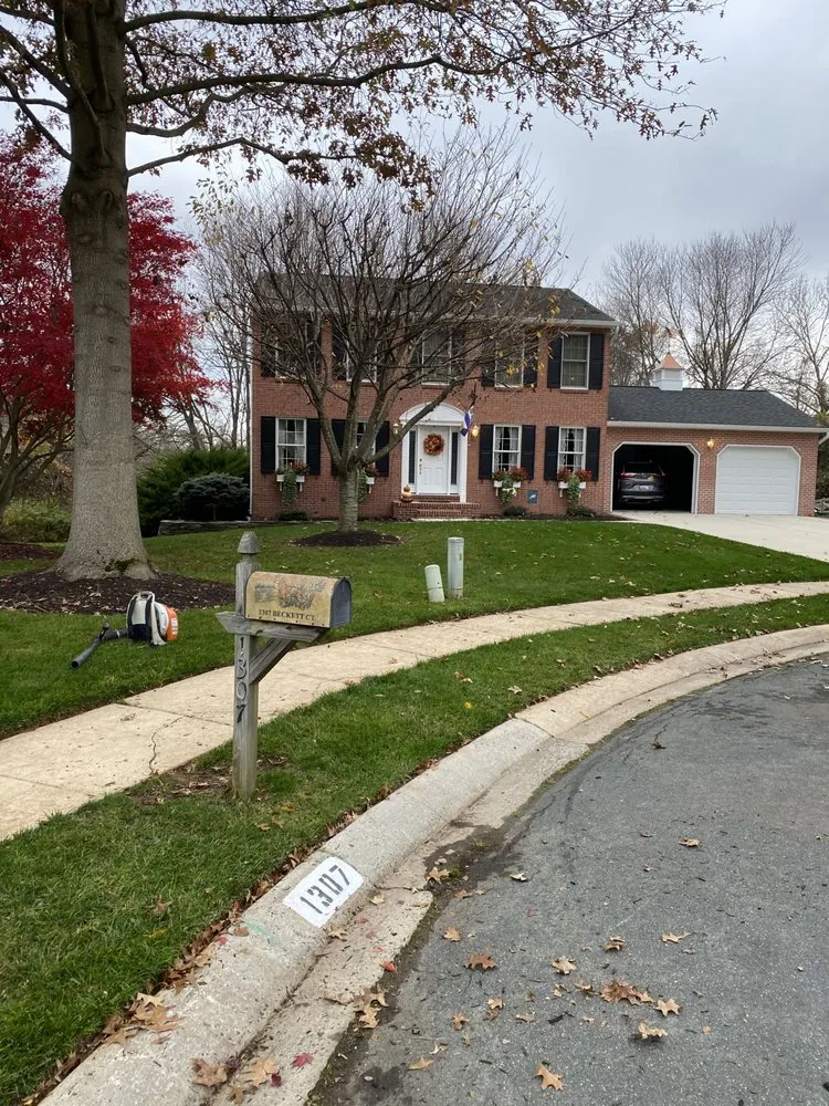 Trusted yard cleanup service for beautiful yards across Bel Air, MD - Dans landscaping services