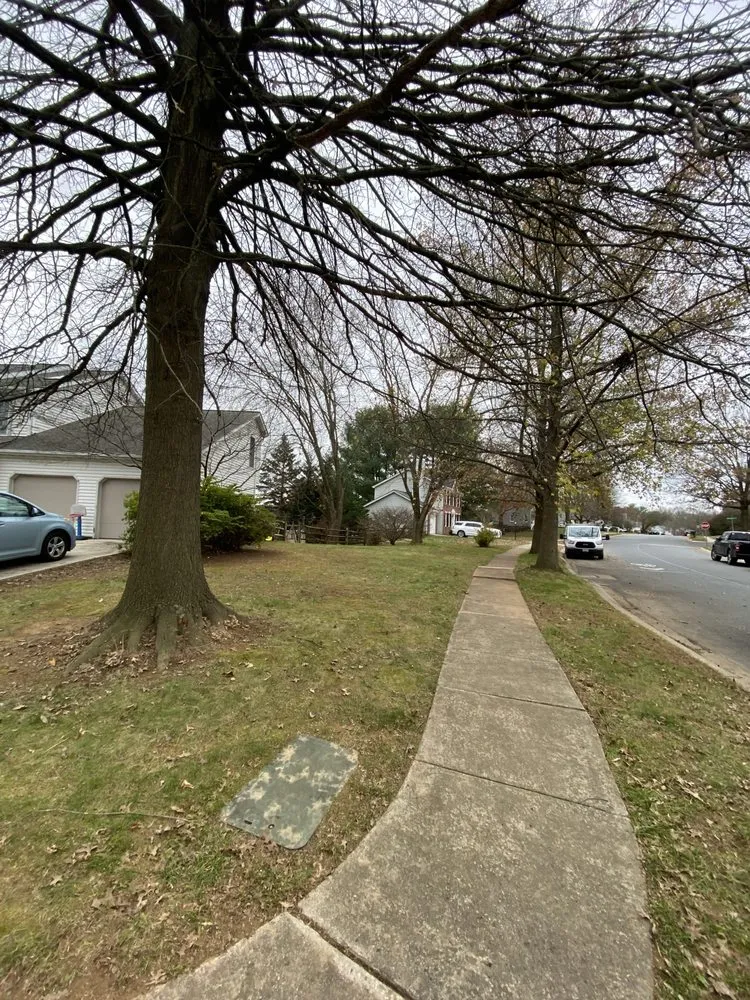 Trusted lawn mowing service for homes across Bel Air, MD - Dans landscaping services