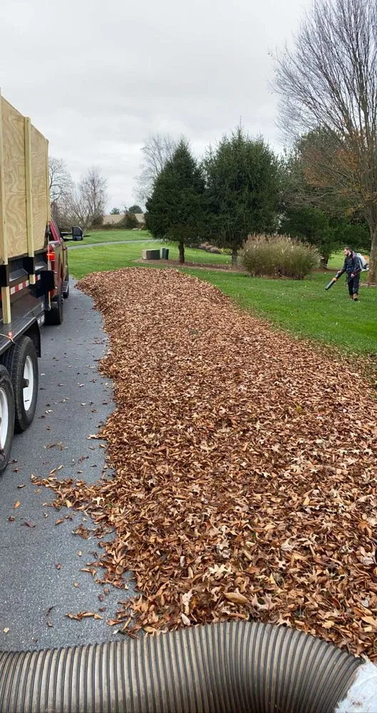 Top-rated lawn mowing service in Bel Air, MD by Dans landscaping services