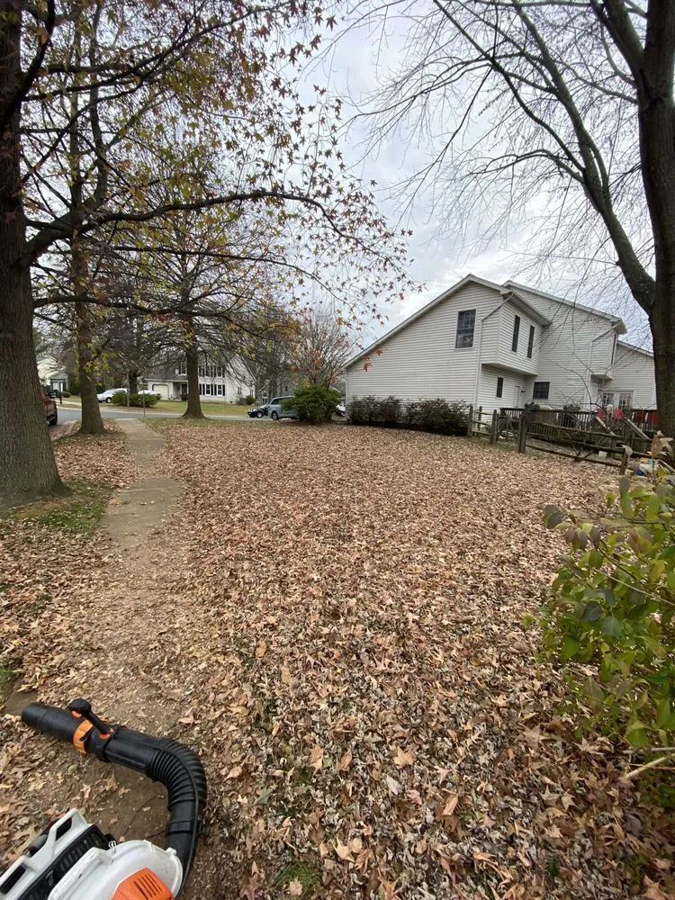 Custom landscaping services in Bel Air, MD - Dans landscaping services