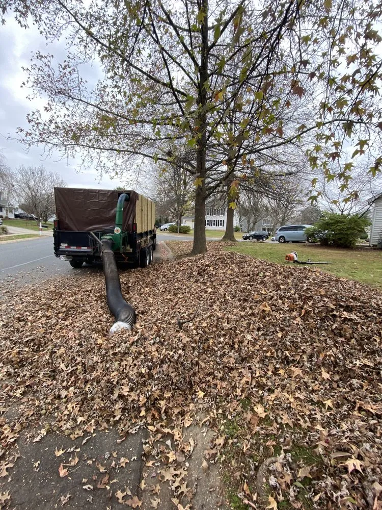 Affordable lawn care service experts serving Bel Air, MD - Dans landscaping services