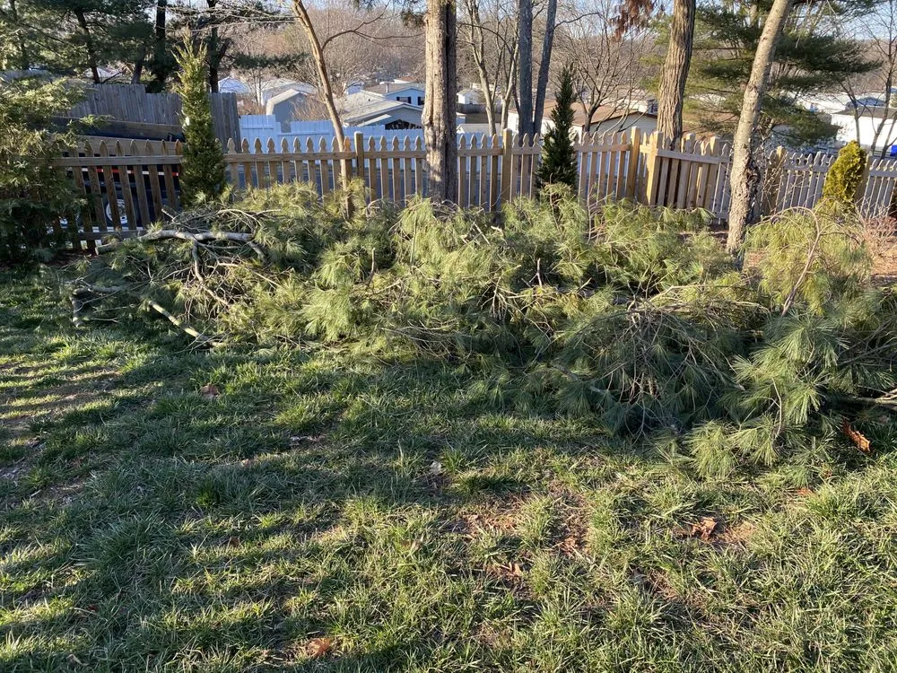 Local yard maintenance for homes across Bel Air, MD - Dans landscaping services