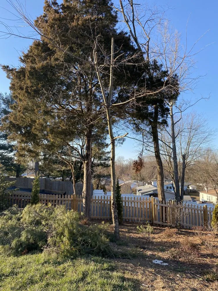 Custom residential landscaping in Bel Air, MD by Dans landscaping services