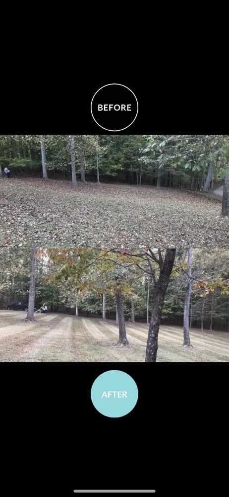 Top-rated residential landscaping in Bel Air, MD - Dans landscaping services