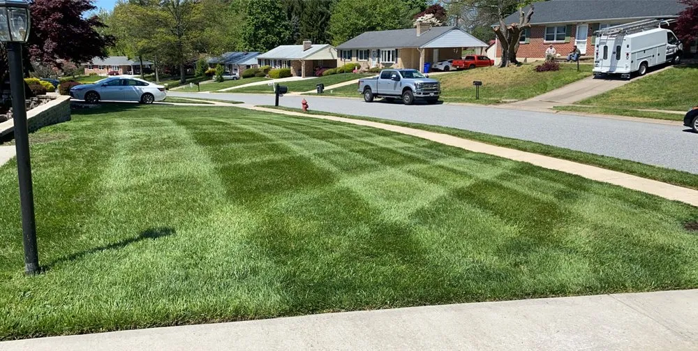 Top-rated residential landscaping experts serving Bel Air, MD - Dans landscaping services