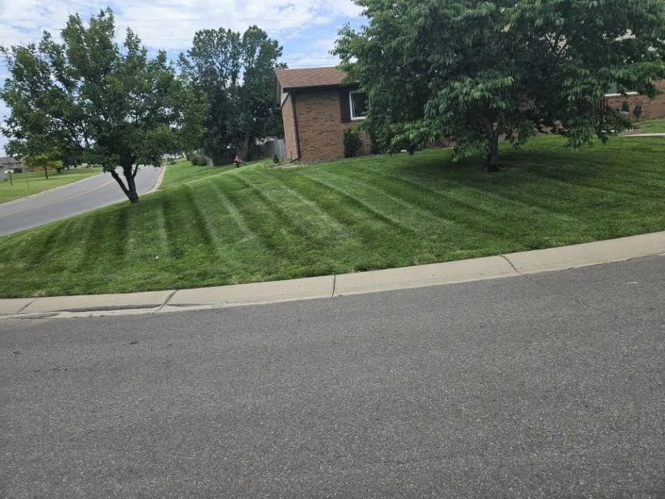 Top-rated lawn mowing service for homes across Wichita, KS - Dan’s Lawn And Fence