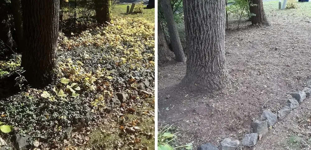 Reliable landscape design in Oxford, PA - Dan’s Lawn and Tree Service