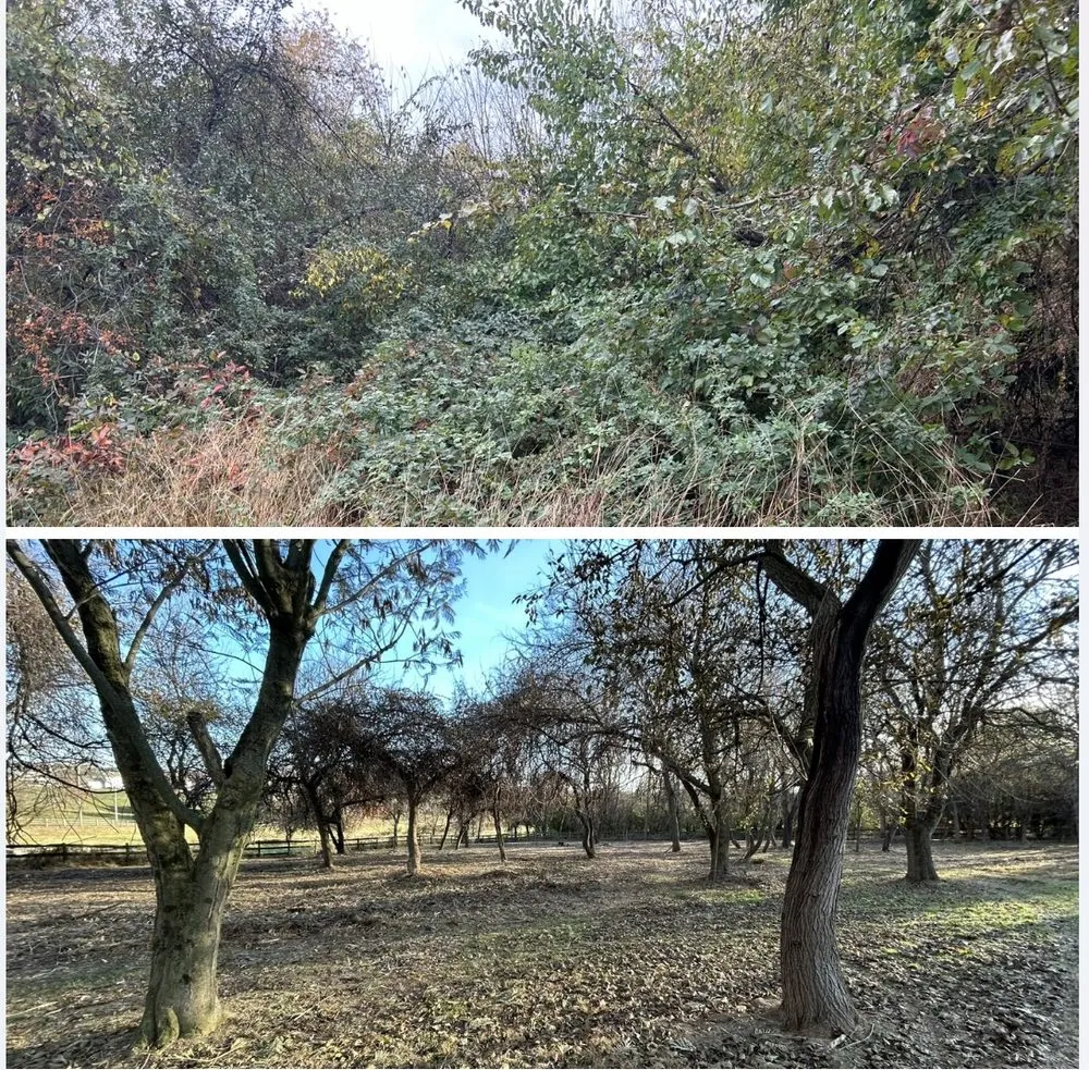 Local lawn mowing service with custom design across Oxford, PA - Dan’s Lawn and Tree Service