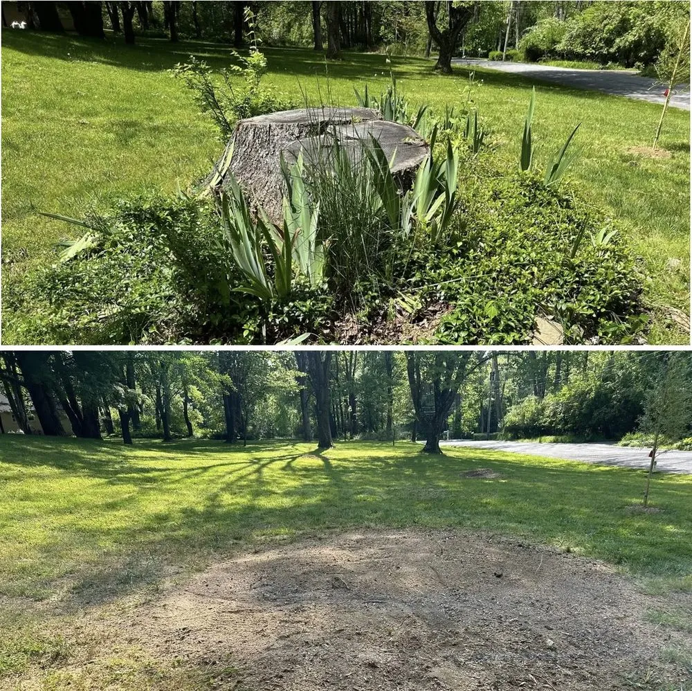 Professional garden landscaping in Oxford, PA by Dan’s Lawn and Tree Service