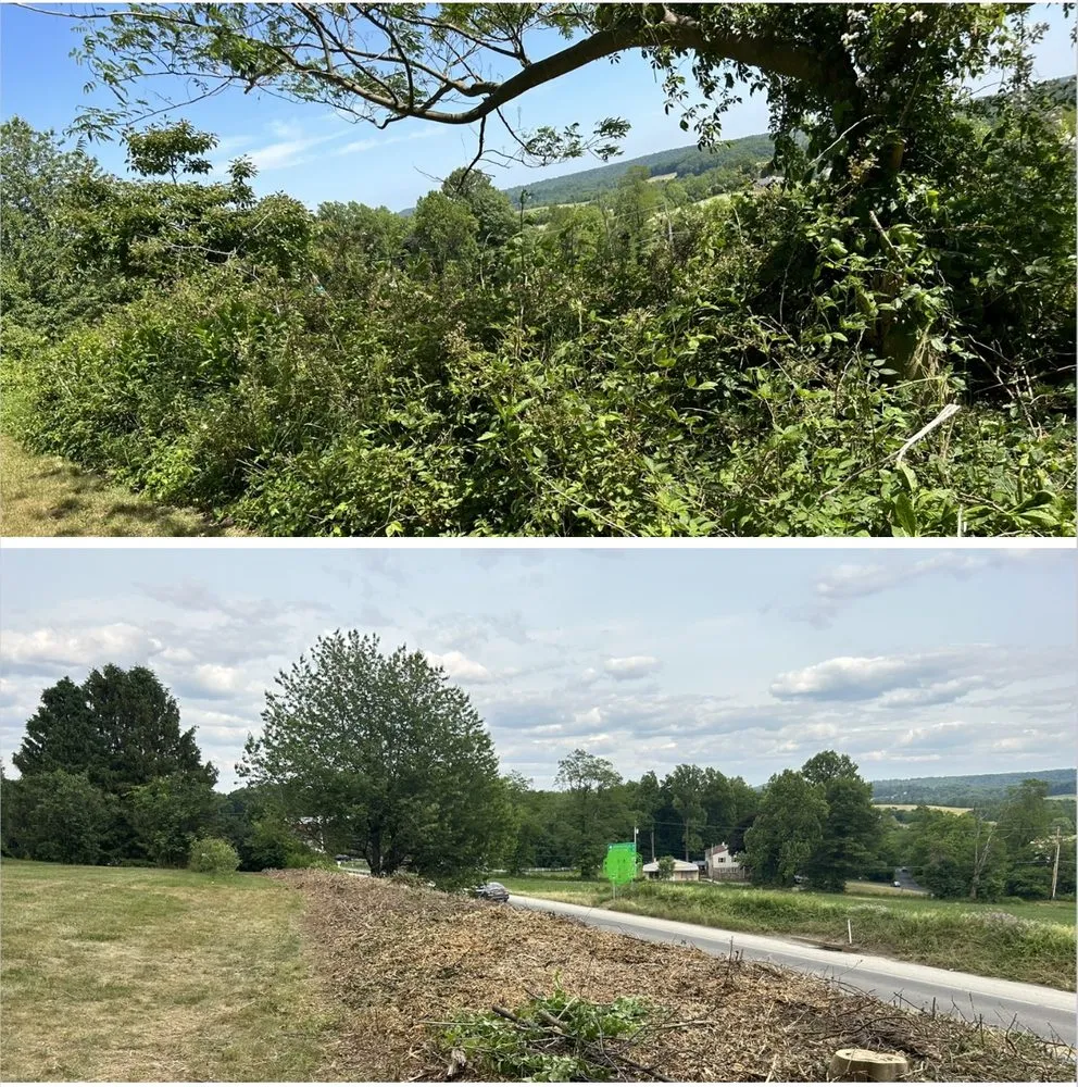 Top-rated lawn care service for residential properties in Oxford, PA by Dan’s Lawn and Tree Service