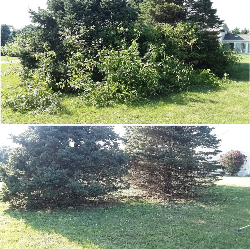 Expert lawn mowing service in Oxford, PA by Dan’s Lawn and Tree Service