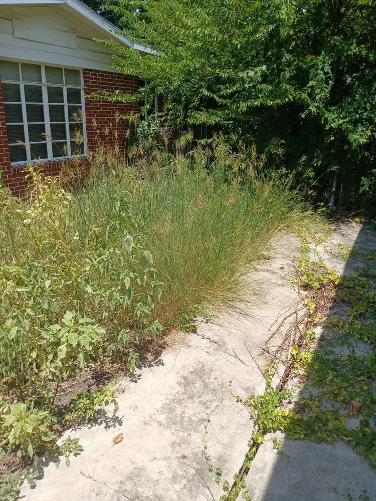 Professional landscape installation in San Antonio, TX - Dan's Lawn Care & Pressure Washing