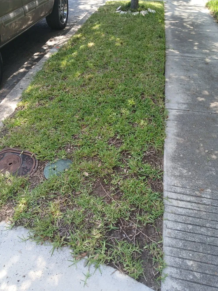 Professional residential landscaping for beautiful yards in San Antonio, TX by Dan's Lawn Care & Pressure Washing