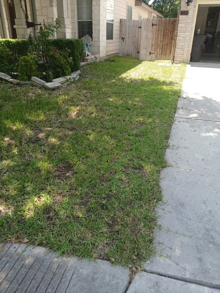 Trusted residential landscaping in San Antonio, TX - Dan's Lawn Care & Pressure Washing