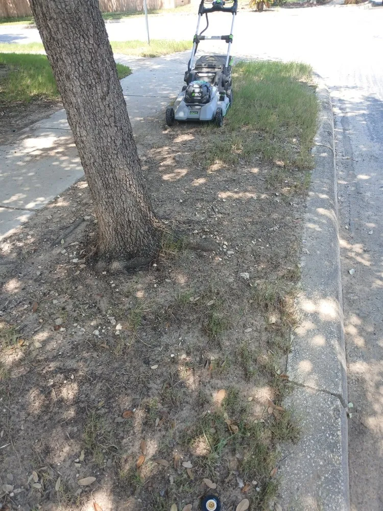 Affordable outdoor landscaping for homes in San Antonio, TX by Dan's Lawn Care & Pressure Washing