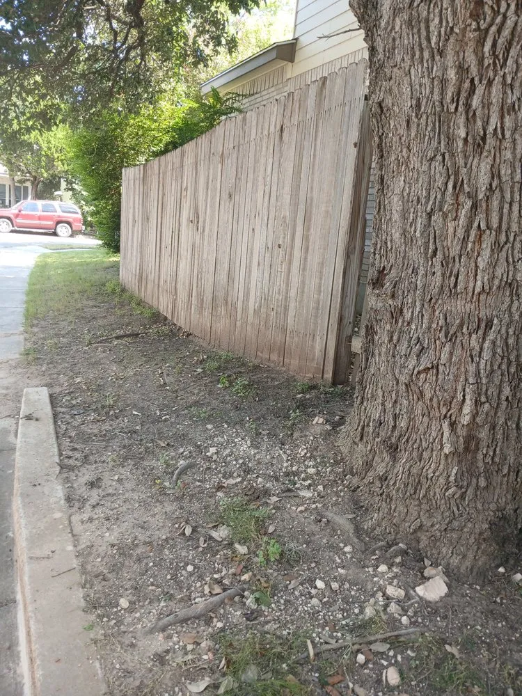 Local lawn care service in San Antonio, TX - Dan's Lawn Care & Pressure Washing