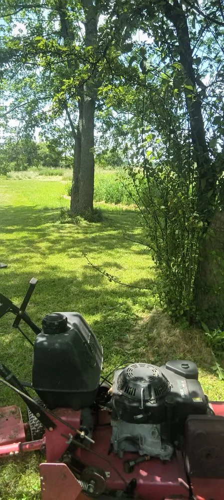 Trusted yard cleanup service experts serving Adrian, MI - Dan's Lawn Care