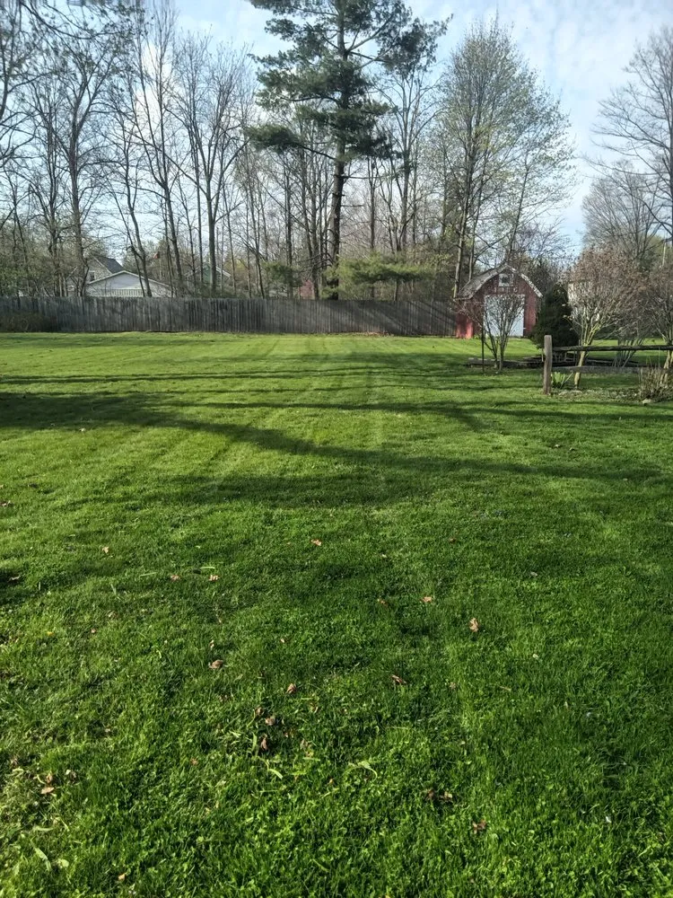 Trusted yard cleanup service for outdoor upgrades across Adrian, MI - Dan's Lawn Care