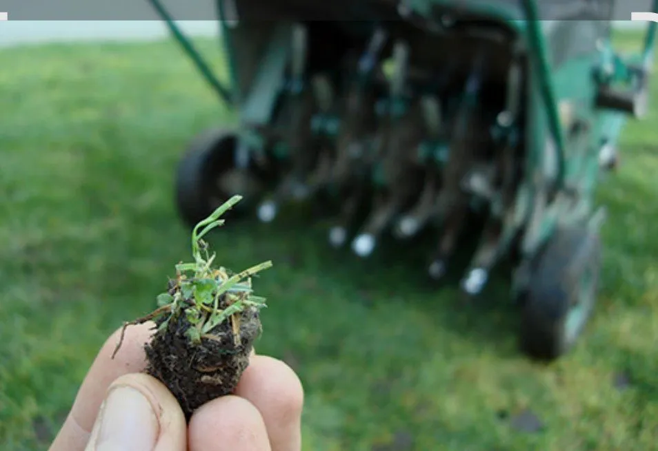 Custom yard maintenance for year-round maintenance in Adrian, MI by Dan's Lawn Care