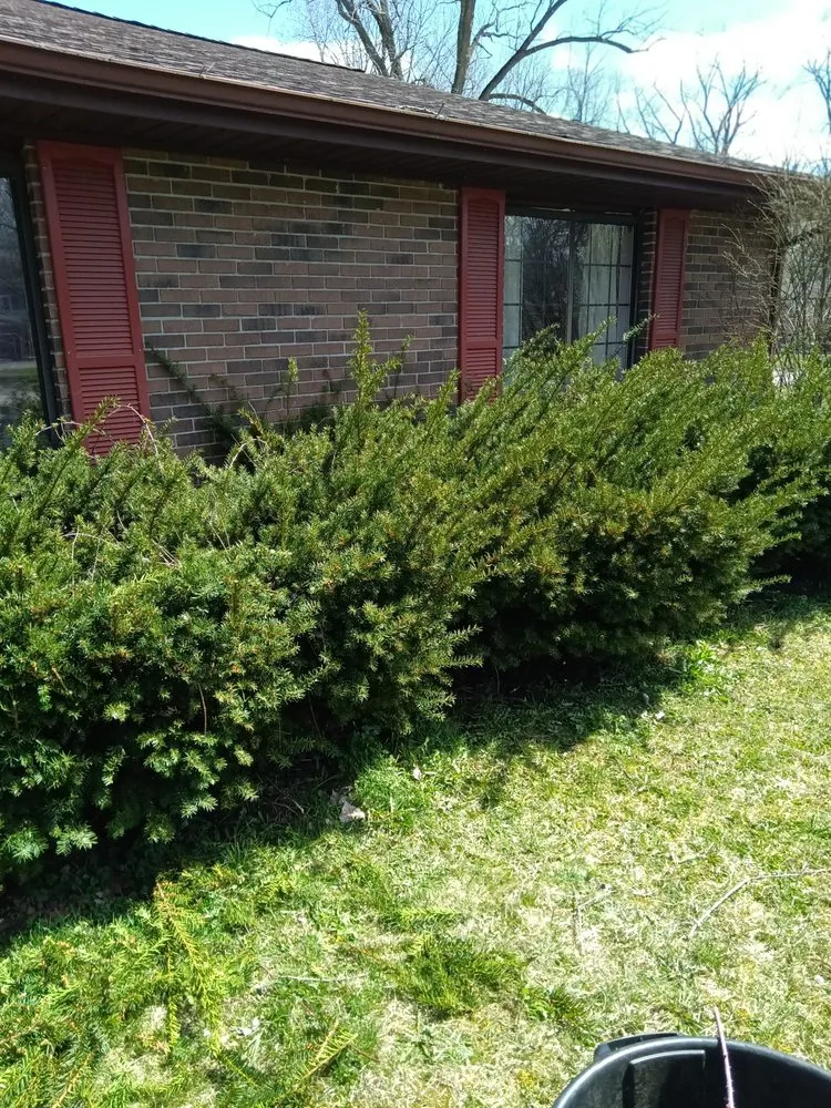 Custom yard cleanup service for beautiful yards across Adrian, MI - Dan's Lawn Care
