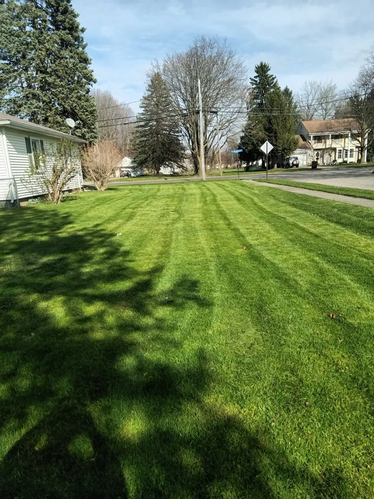 Custom yard cleanup service in Adrian, MI - Dan's Lawn Care