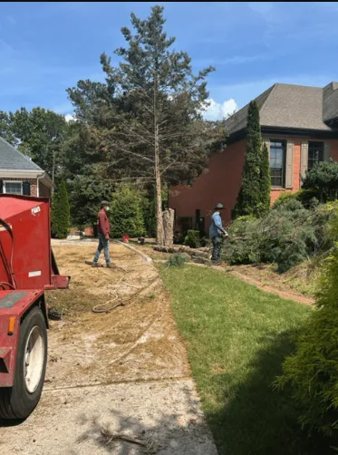Expert landscape design in Nobleton, FL by Dans Lawn Care