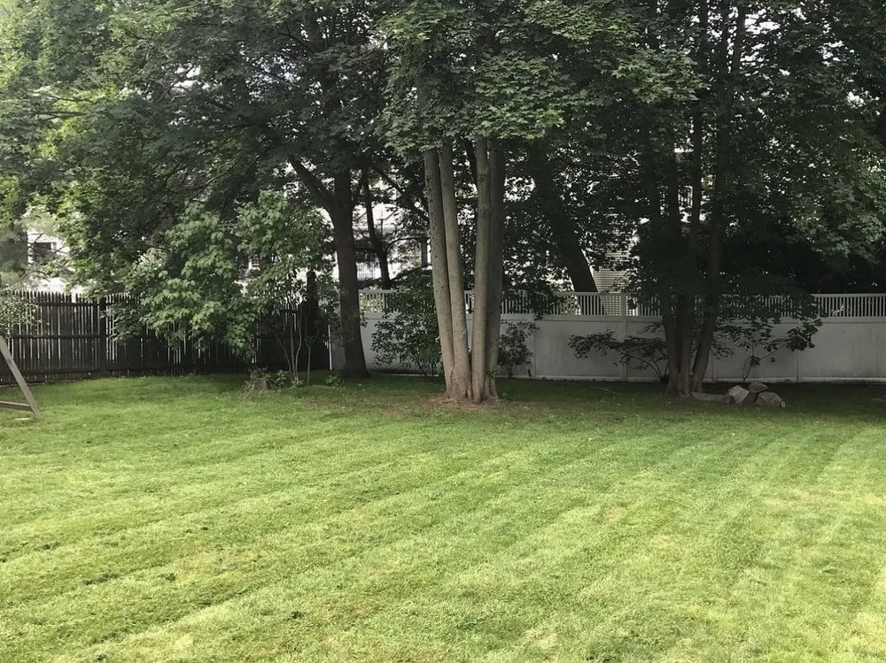 Affordable yard maintenance for homes in Quincy, MA by Dan’s Lawn Care Quincy