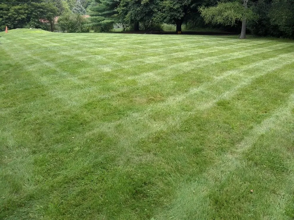Trusted lawn mowing service in Rochester Hills, MI by Dan's Lawn Care