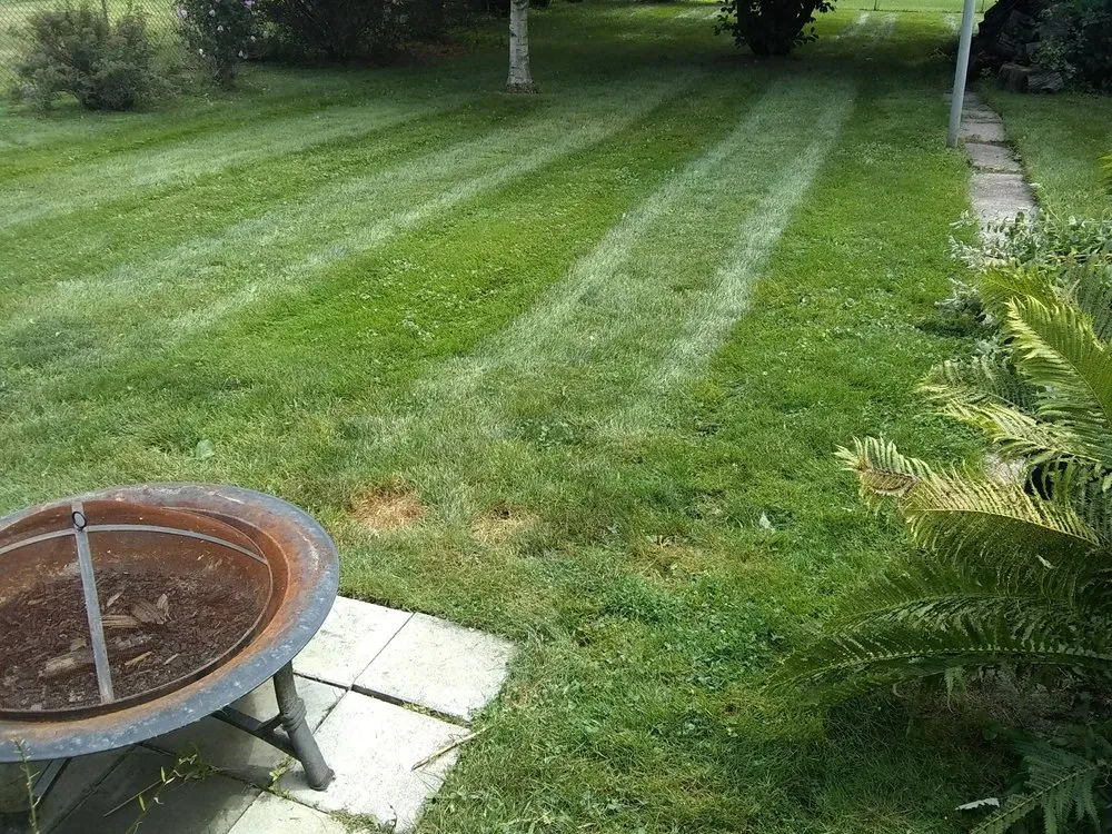Expert lawn care service in Rochester Hills, MI by Dan's Lawn Care