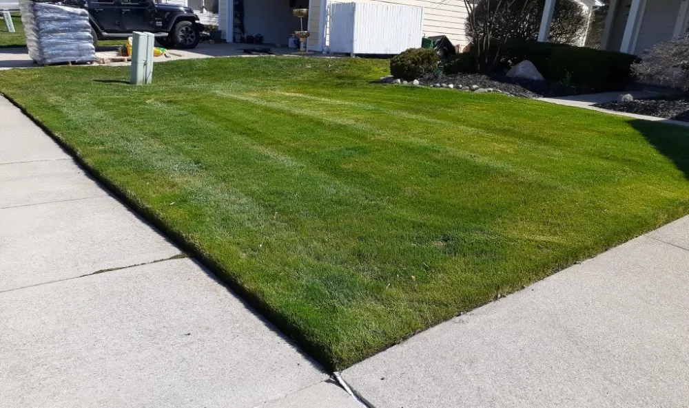 Custom yard maintenance for year-round maintenance in Rochester Hills, MI by Dan's Lawn Care