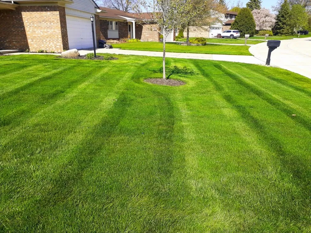 Custom landscape installation in Rochester Hills, MI - Dan's Lawn Care