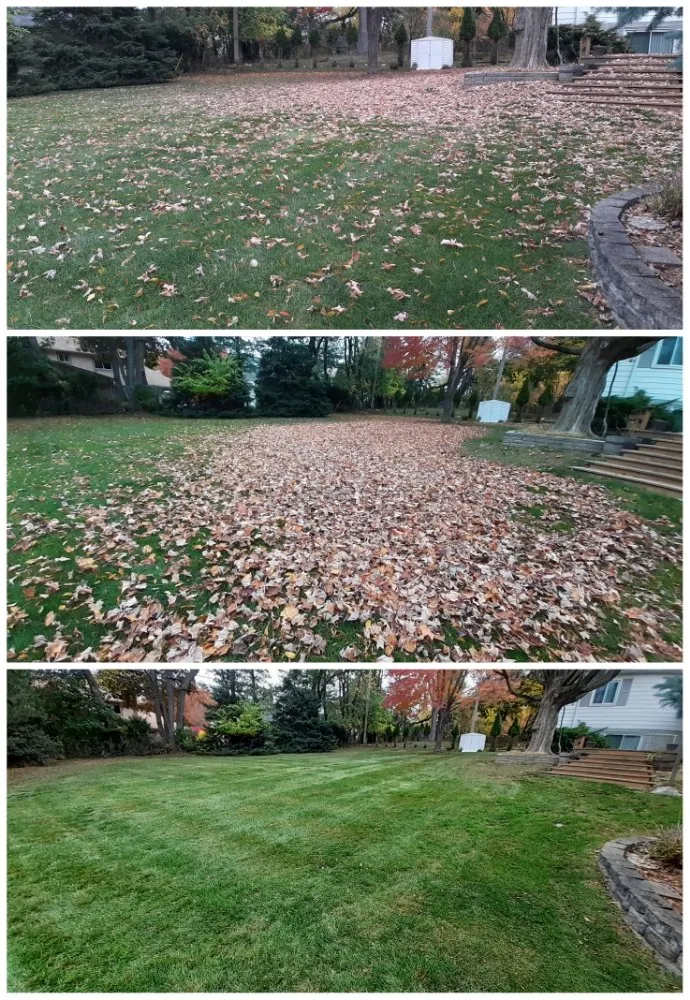 Professional yard cleanup service in Rochester Hills, MI by Dan's Lawn Care