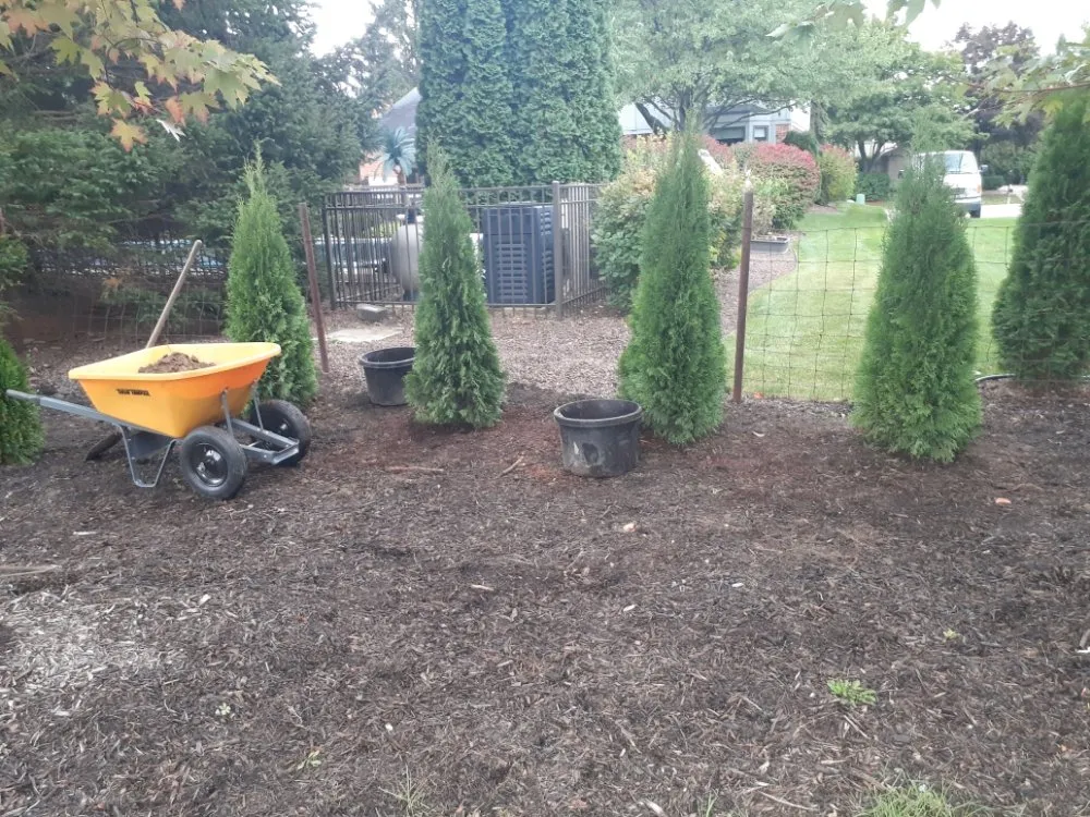 Local yard cleanup service for beautiful yards across Rochester Hills, MI - Dan's Lawn Care