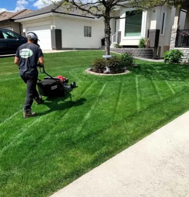 Trusted yard maintenance for beautiful yards in Roy, UT by Dan's Lawn Care