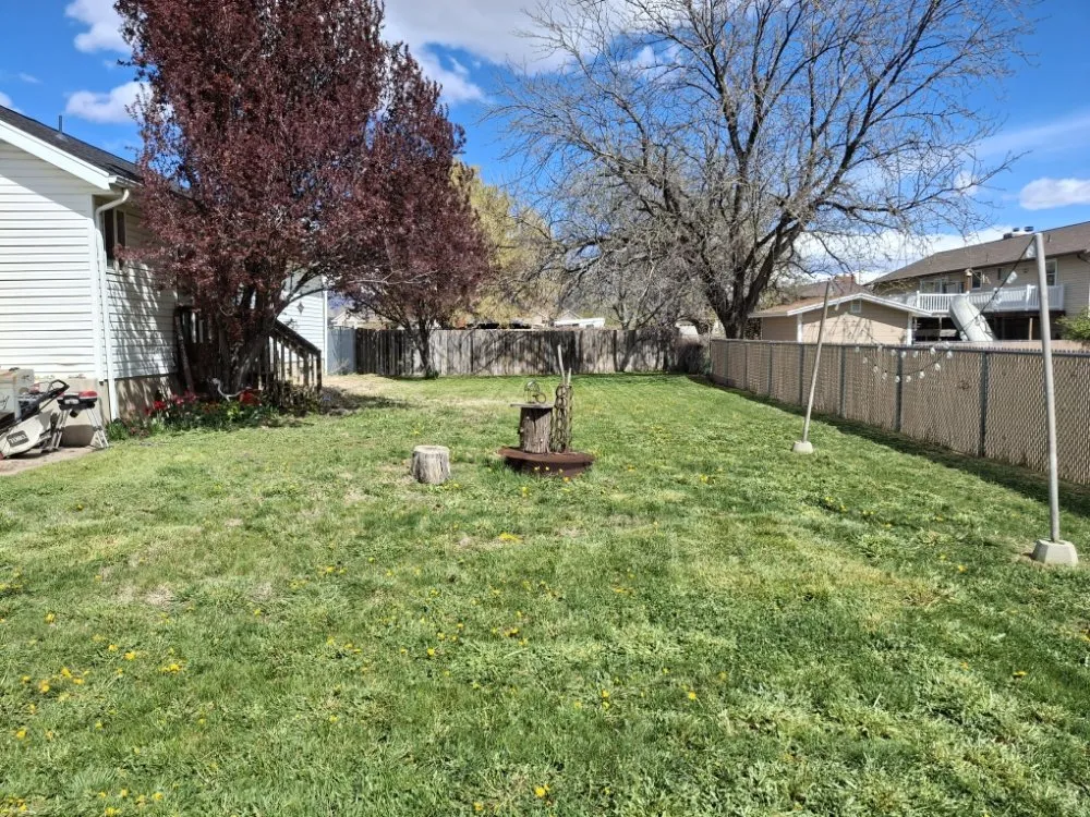 Trusted yard cleanup service in Roy, UT by Dan's Lawn Care