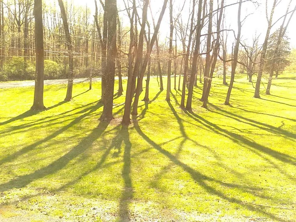 Local lawn care service for residential properties in Evansville, IN by Dan's Lawn Maintenance