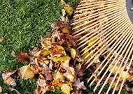 Top-rated lawn care service for residential properties across Norton Shores, MI - Dan's Lawn Service