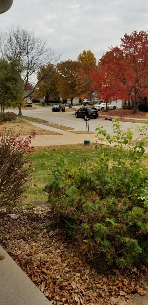 Professional yard cleanup service in Saint Louis, MO by Dan's Lawn Service