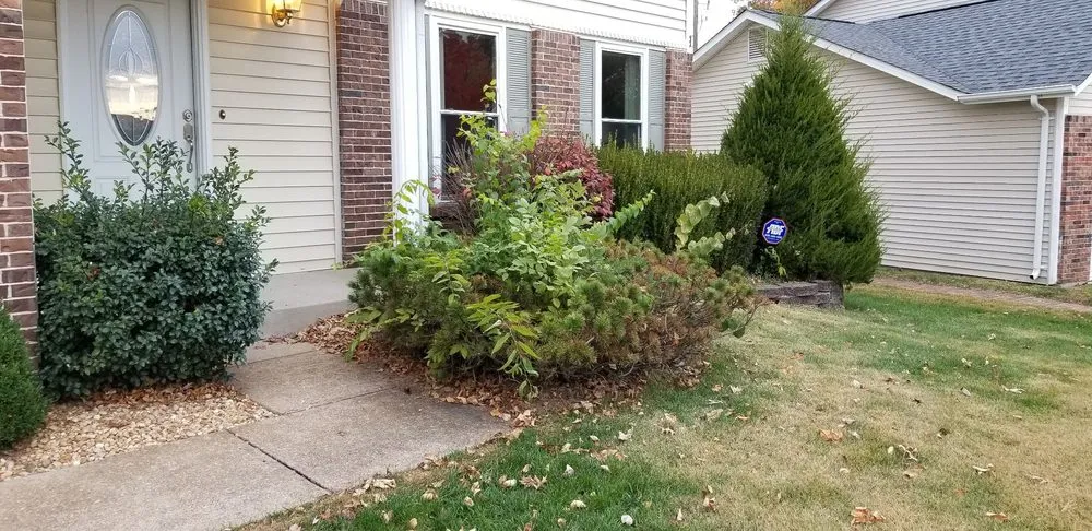 Trusted yard maintenance in Saint Louis, MO - Dan's Lawn Service