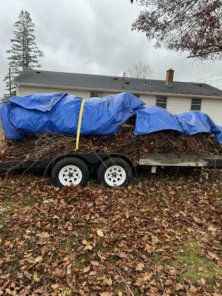 Professional outdoor landscaping for beautiful yards in Lockport, NY by Dans Lawns