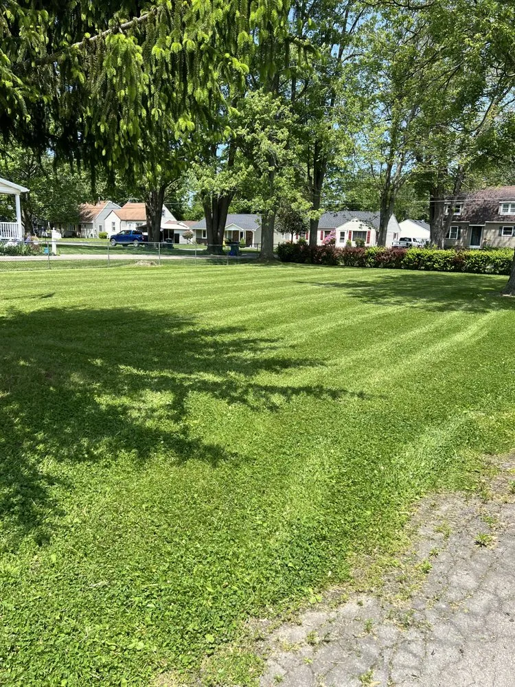 Professional lawn mowing service in Lockport, NY by Dans Lawns