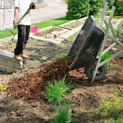 Local yard cleanup service in Mechanicsburg, PA - Dan's Property & Lawn Maintenance