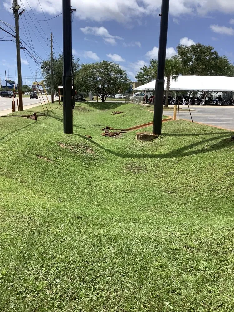 Professional landscape design experts serving Mary Esther, FL - Dan’s quality lawn service