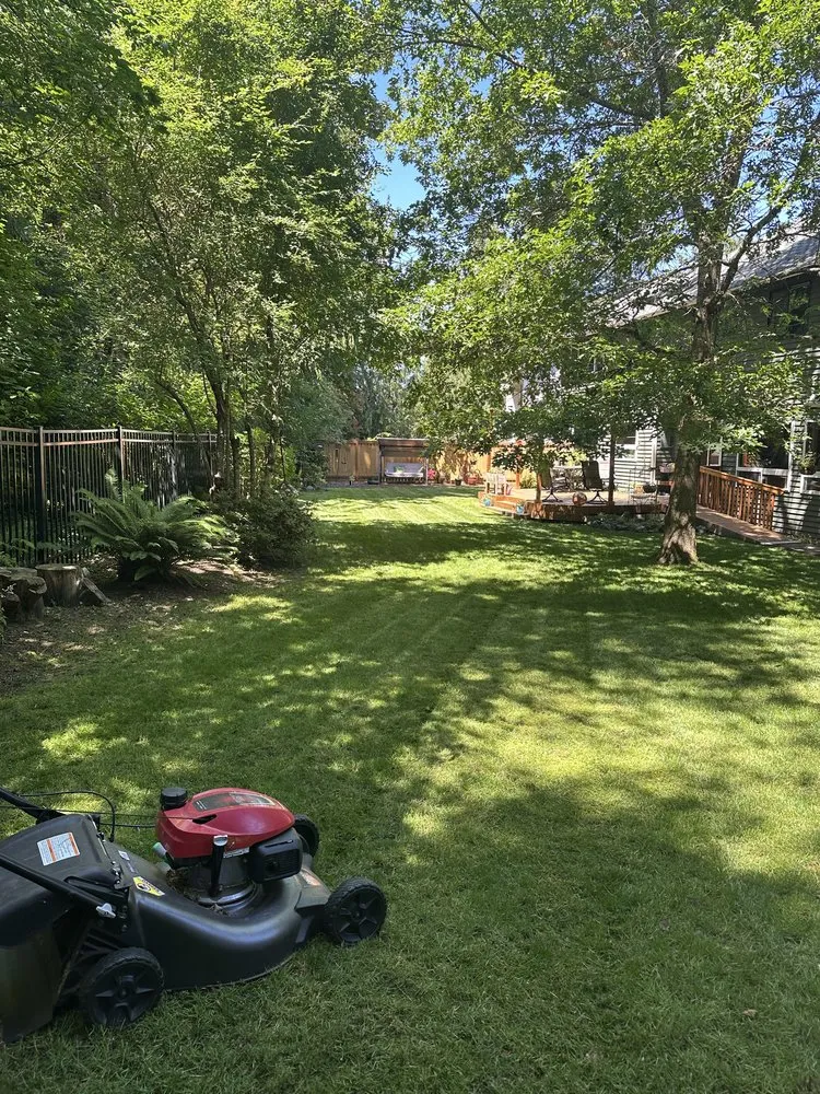 Top-rated landscape design experts serving Renton, WA - Dan's Tidy Turf