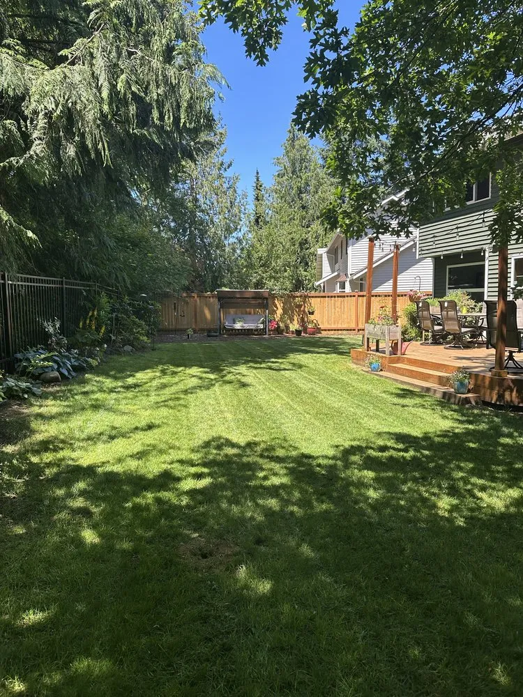 Professional landscape design for beautiful yards across Renton, WA - Dan's Tidy Turf